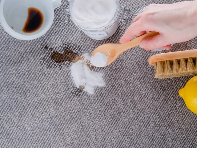 Czyszczenie dywanu sodą oczyszczoną