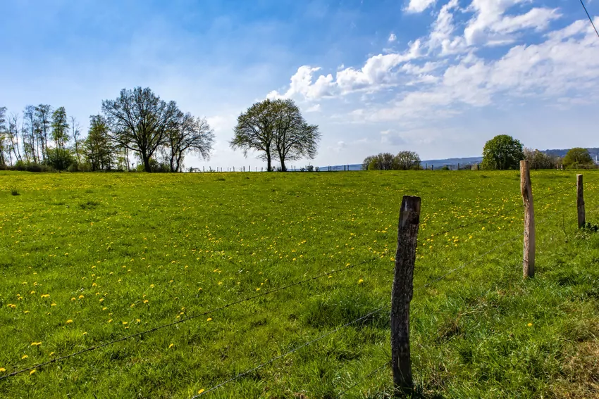 Działka