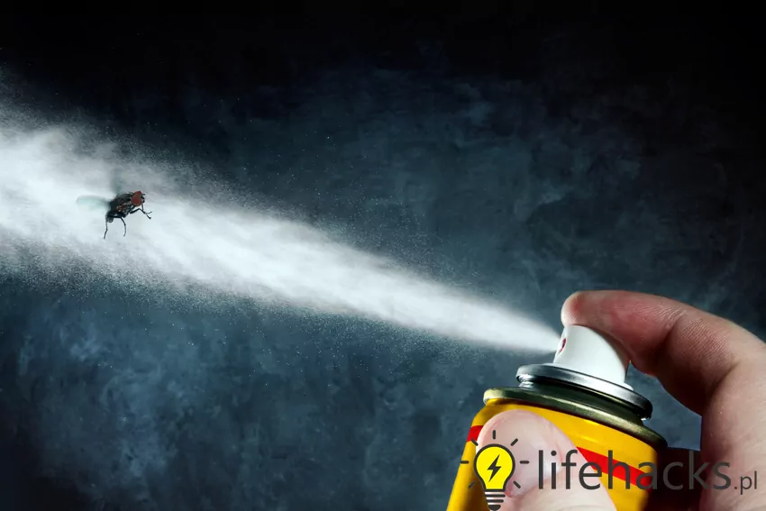 Muchy potrafią skutecznie uprzykrzyć życie, jednak na szczęście są skuteczne środki, by z nimi walczyć Spray na muchy
