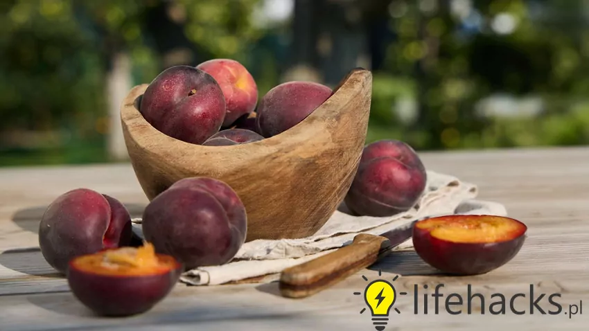 Śliwomorele owocują w naszych warunkach klimatycznych Owoc śliwomoreli Plumcot