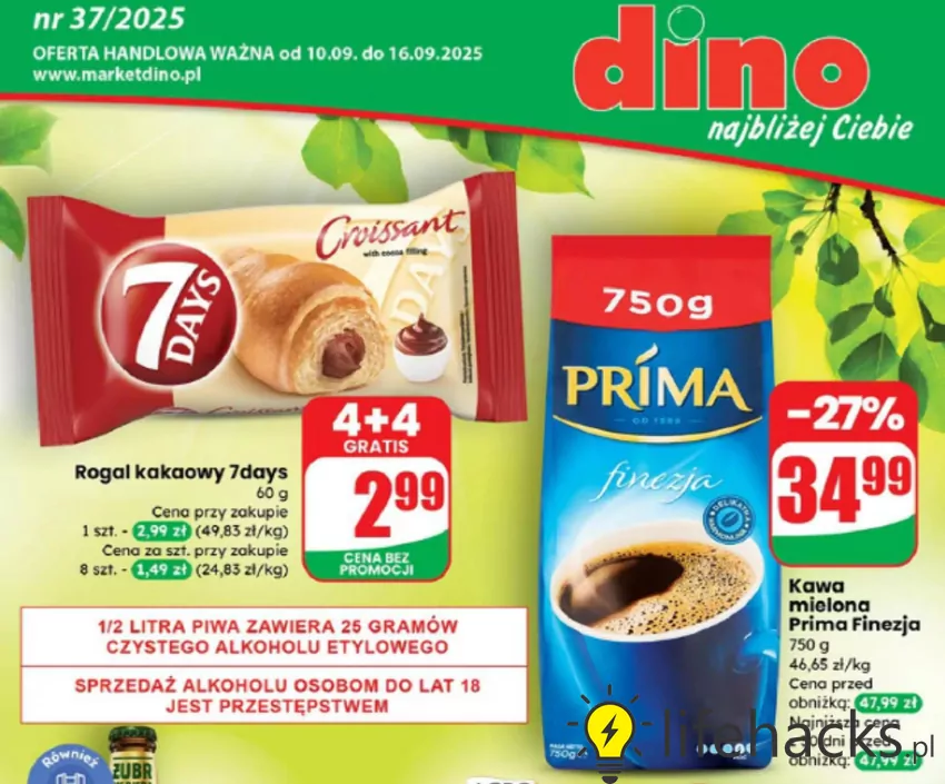 Dino - gazetka