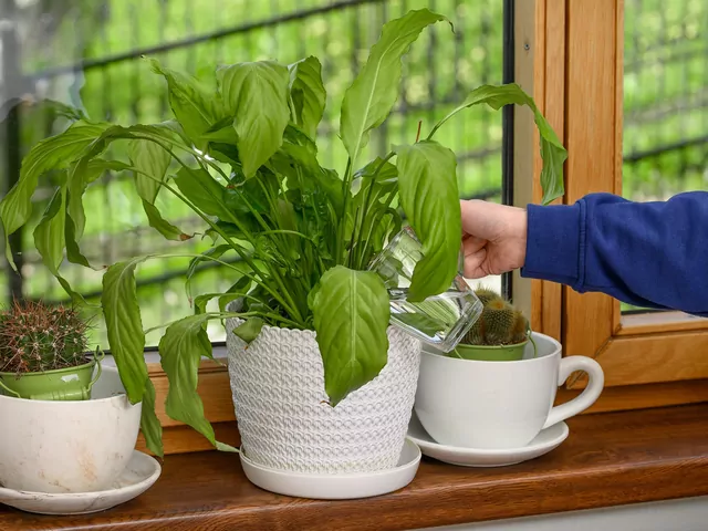 Sposób na zielone liście kwiatów