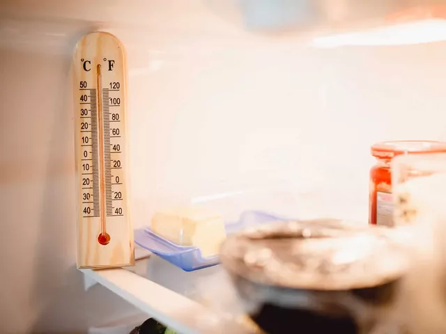 Idealna temperatura w lodówce
