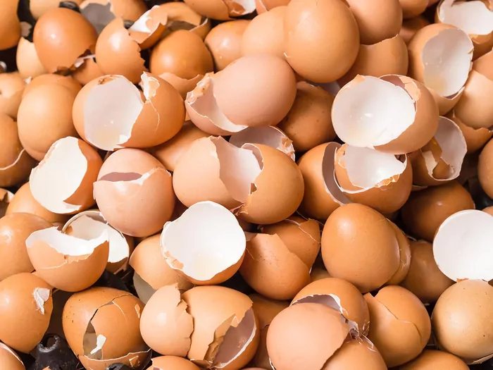 Domowy nawóz ze skoruperk jaj