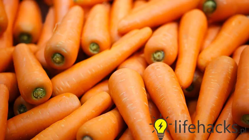 Ciekawą metodą jest m.in. kiszenie marchewki w solance Duża ilość marchewek