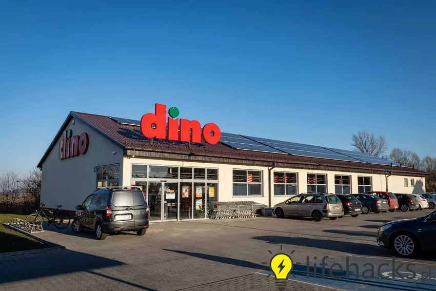 Nowa gazetka w Dino ważna do 28.10 Dino