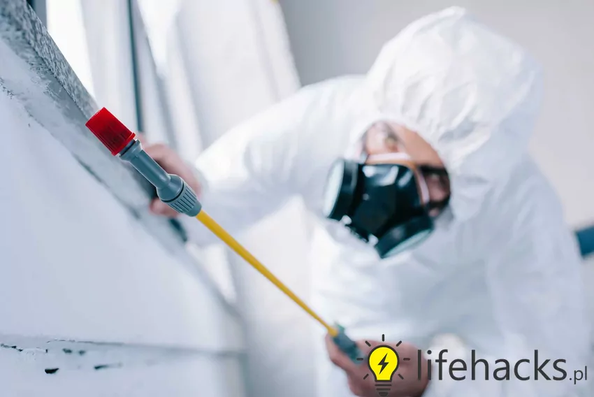 Najlepszym i najbardziej skutecznym sposobem zwalczania inseków jest oczywiście dezynsekcja Dezynsekcja mieszkania