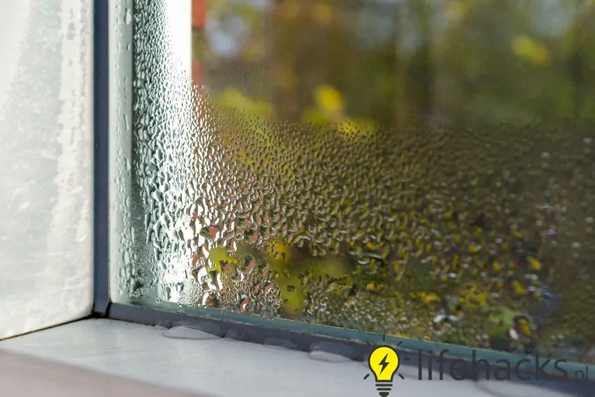 Wilgoć na oknach