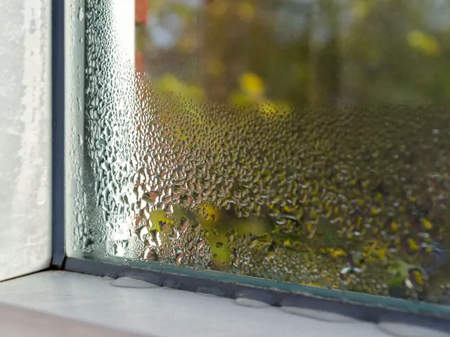 Wilgoć na oknach - rozwiązania
