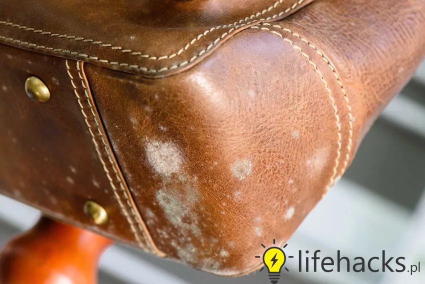 Czyszczenie ecoskóry z pleśni krok po kroku, a także porady dotyczące mycia ekoskóry detergentami i preparatami do pielęgnacji