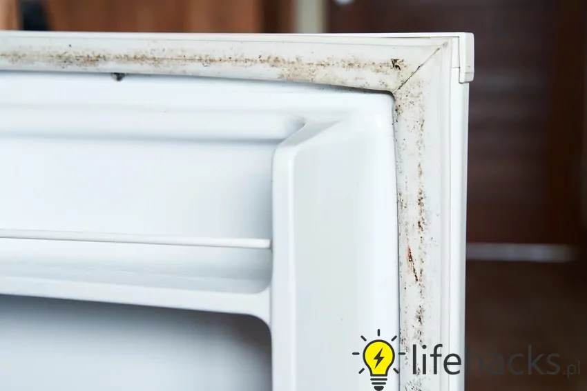 Pleśń w lodówce: przyczyny i usuwanie