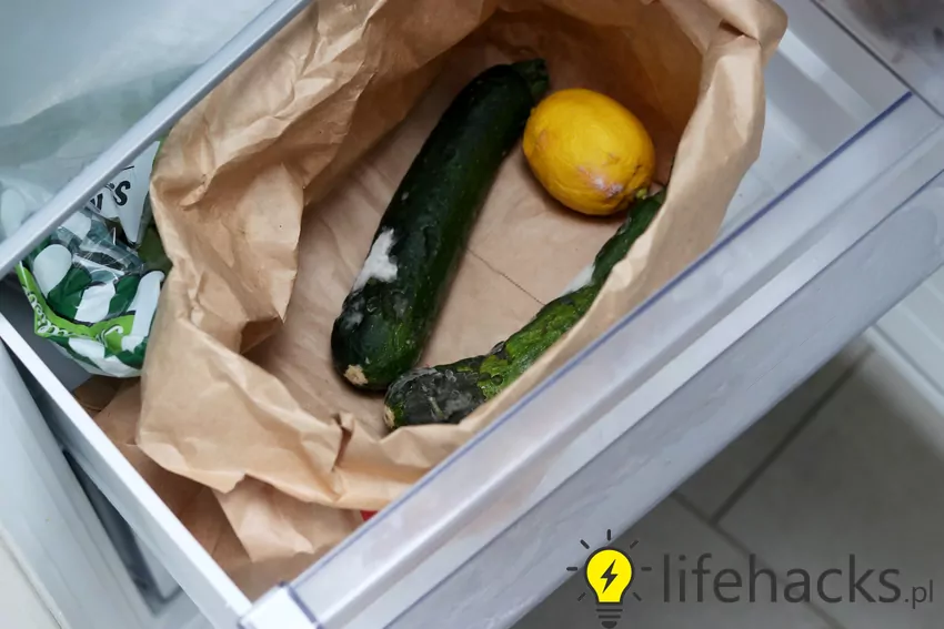 Przyczyną powstawania i rozprzestrzeniania się pleśni w lodówce jest przede wszystkim psująca się żywność Pleśń na cukini w lodówce