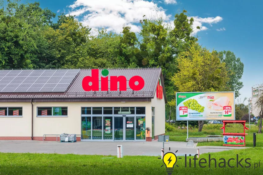 Nowe promocje w Dino od 5 sierpnia Dino
