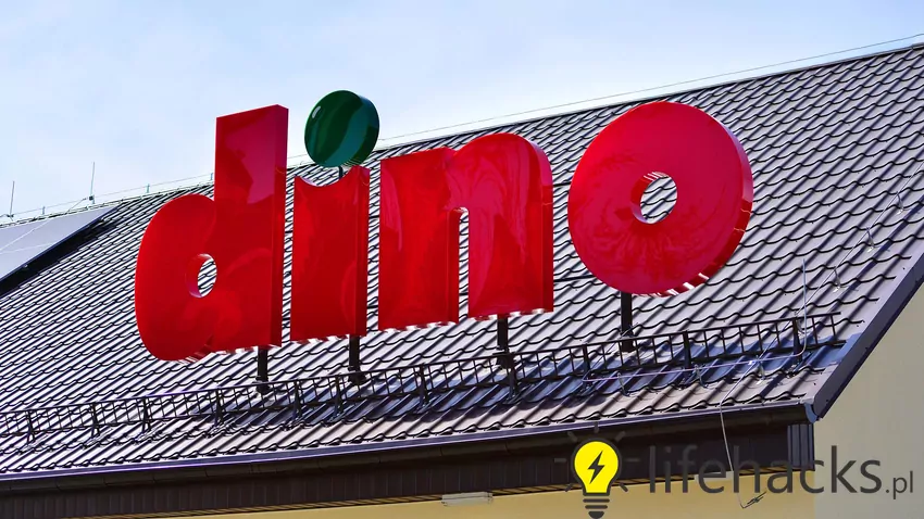 Dino