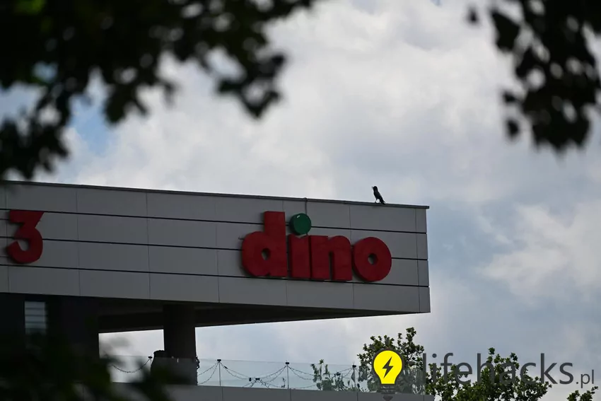 Dino