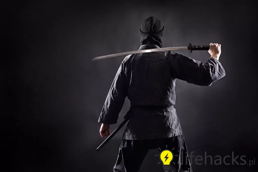W nowej gazetce Biedronki ciekawe promocje Ninja