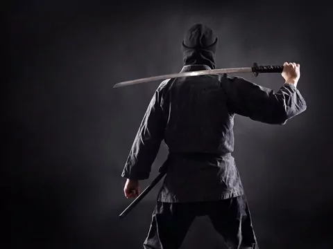 Promocja na Ninja w Biedronce